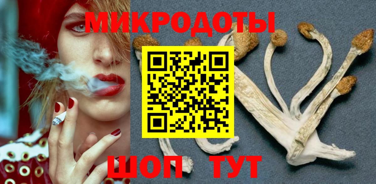 Псилоцибиновые грибы MAGIC MUSHROOMS  Вход с VPN  Вышний Волочёк 